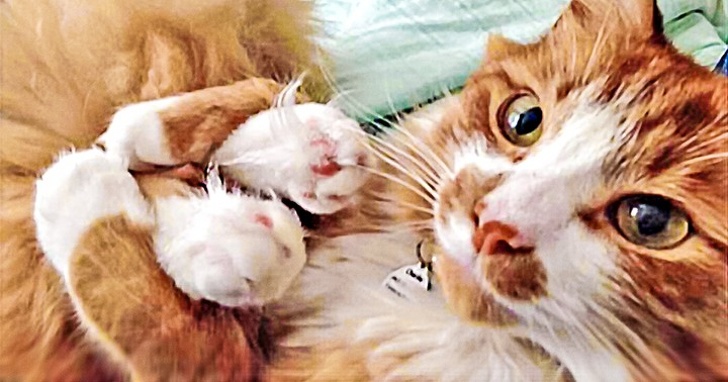 Illustration de l'article : Ces 18 photos qui illuminent la journée