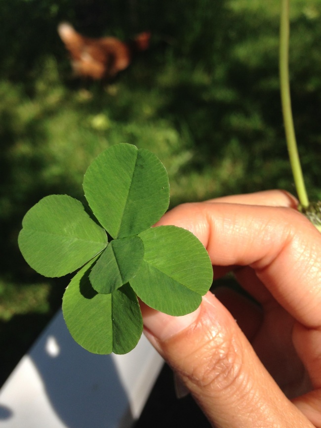 Illustration de l'article : Ces 27 personnes ayant traversé une journée de chance et d'émotions fortes