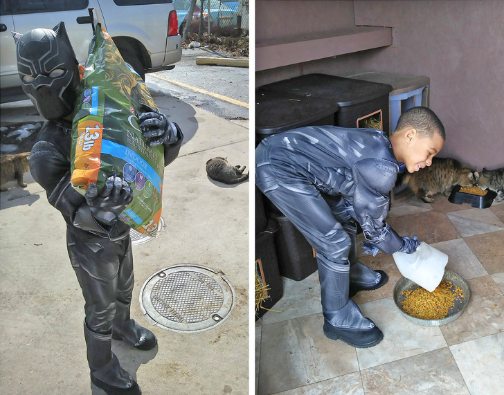 Illustration de l'article : Ces 17 photos qui montrent la générosité de l'être humain