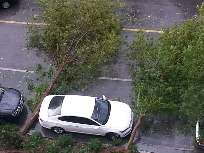 Illustration de l'article : La chance a décidé de sourire à ces 24 personnes