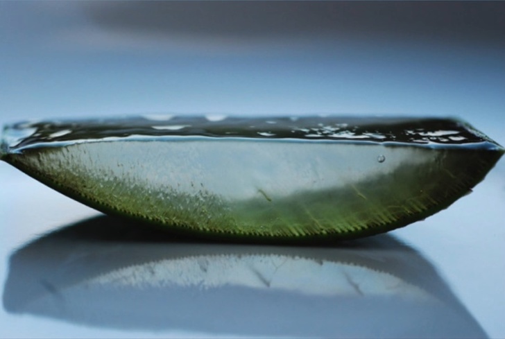 Illustration de l'article : Ces 25 choses coupées en deux pour y voir l'intérieur