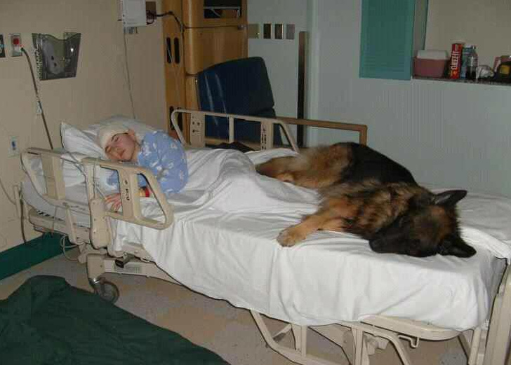 Illustration de l'article : Ces 20 photos qui montrent ce qu'est le véritable amour