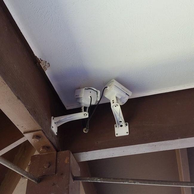 Illustration de l'article : Ces 24 personnes n’avaient pas envie de travailler ce jour-là