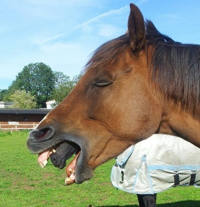 Illustration de l'article : 26 choses qui ne sont pas ce qu’elles paraissent