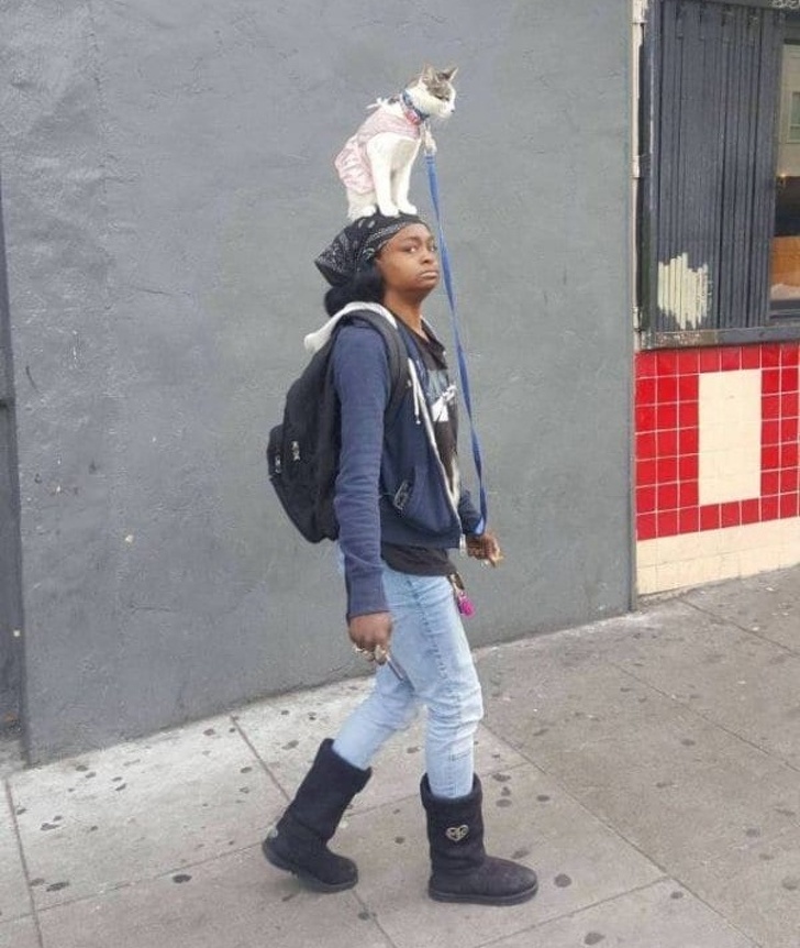 Illustration de l'article : Ces 18 situations curieuses partagées par des internautes