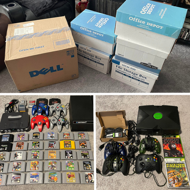 Illustration de l'article : Ces 20 photos de collections insolites en tous genres