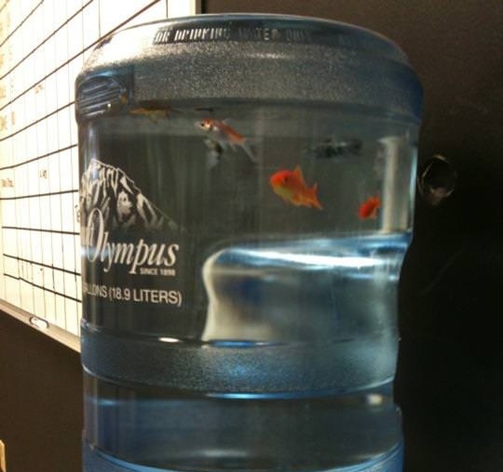 Illustration de l'article : Ces 18 idées de bonnes blagues à faire le 1er avril