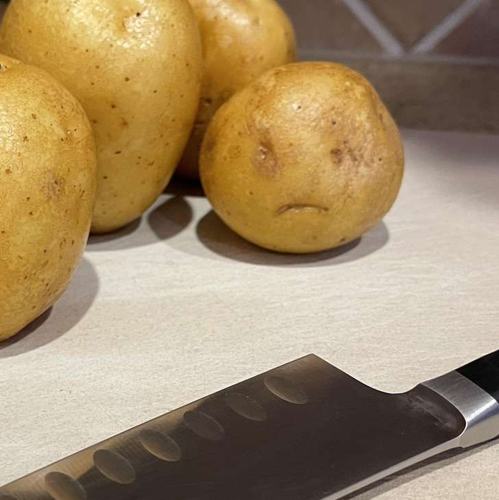 Illustration de l'article : Ces 17 photos qui montrent que Dame Nature a de l'humour