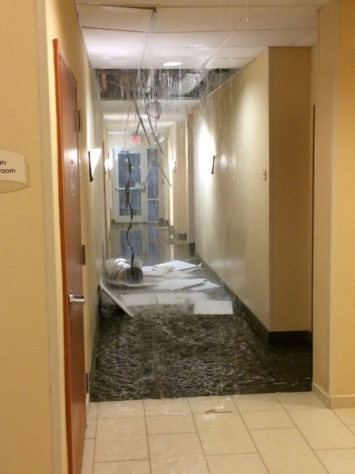 Illustration de l'article : Ces 15 personnes qui ont vécu des mésaventures en vacances