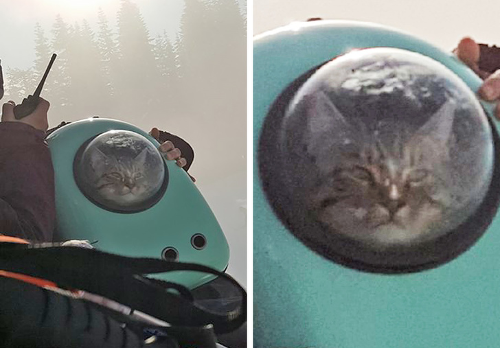 Illustration de l'article : Ces 16 personnes qui ont vécu un moment inattendu