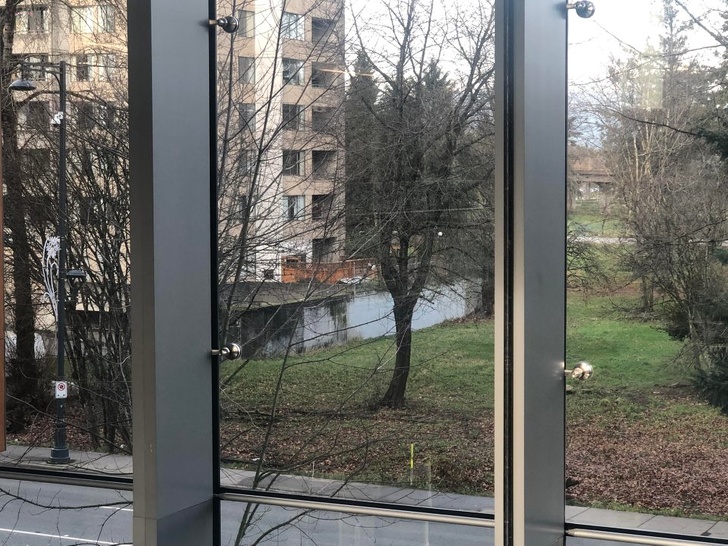 Illustration de l'article : Ces 25 photos font apparaître autre chose pour le cerveau