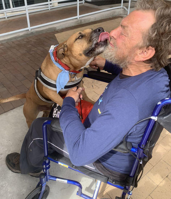 Illustration de l'article : Ces 19 photos illustrant de belles rencontres de la vie