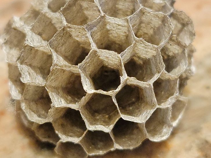 Illustration de l'article : Ces 19 photos qui illustrent la beaut&eacute; de la nature 