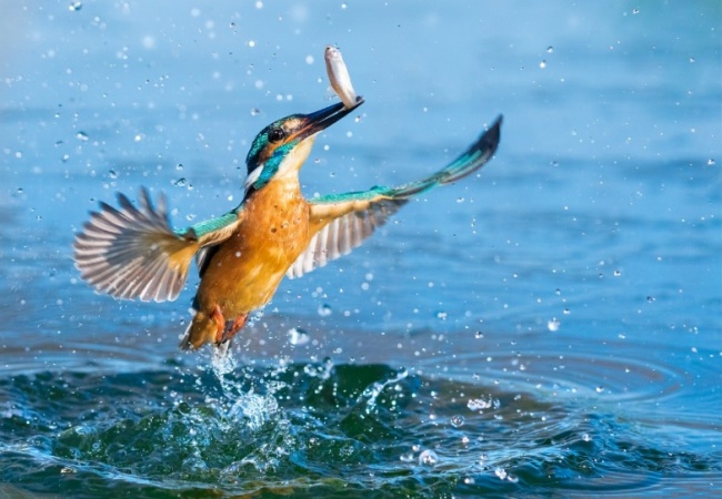 Illustration de l'article : 29 clichés réalisés par des génies de la photographie