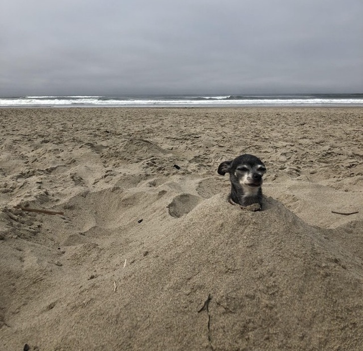 Illustration de l'article : Ces 20 photos qui montrent que certaines familles ont un grain de folie