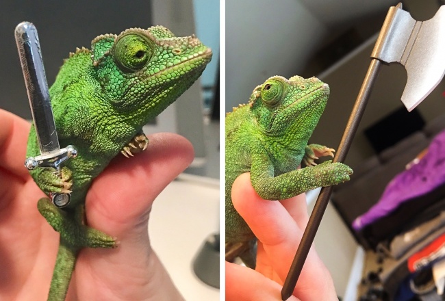 Illustration de l'article : 23 photos qui vont bousculer toutes vos connaissances fondamentales