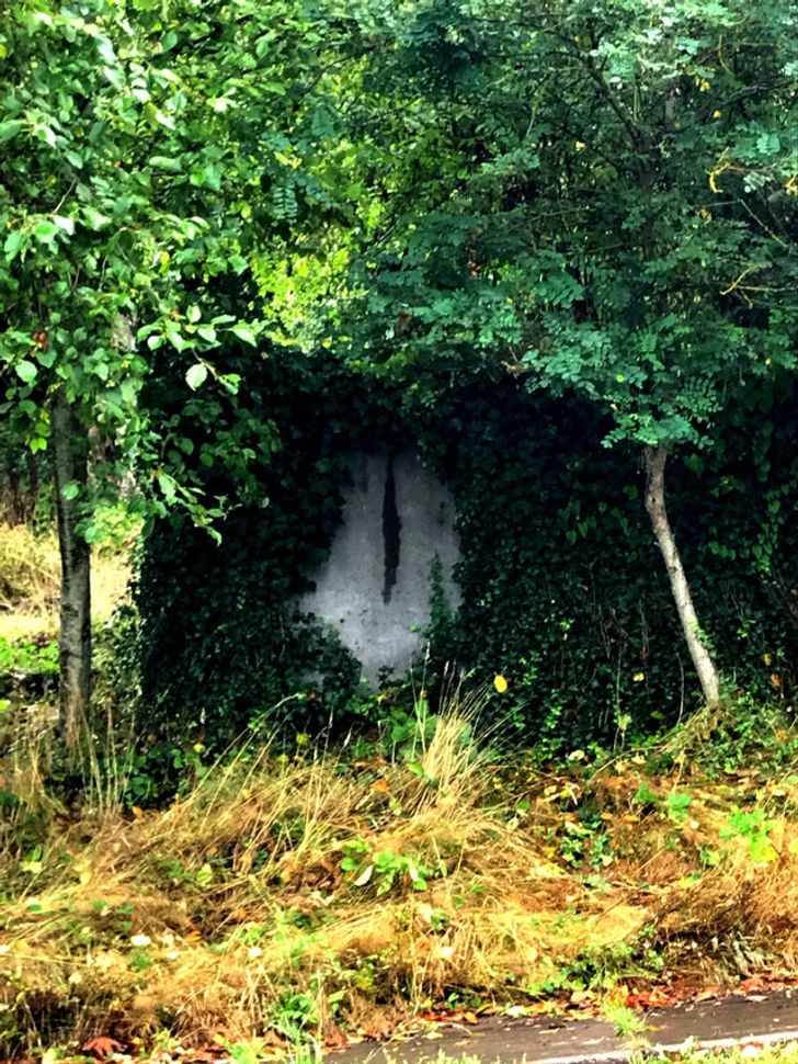 Illustration de l'article : Ces 20 photos qui illustrent les originalités de la nature