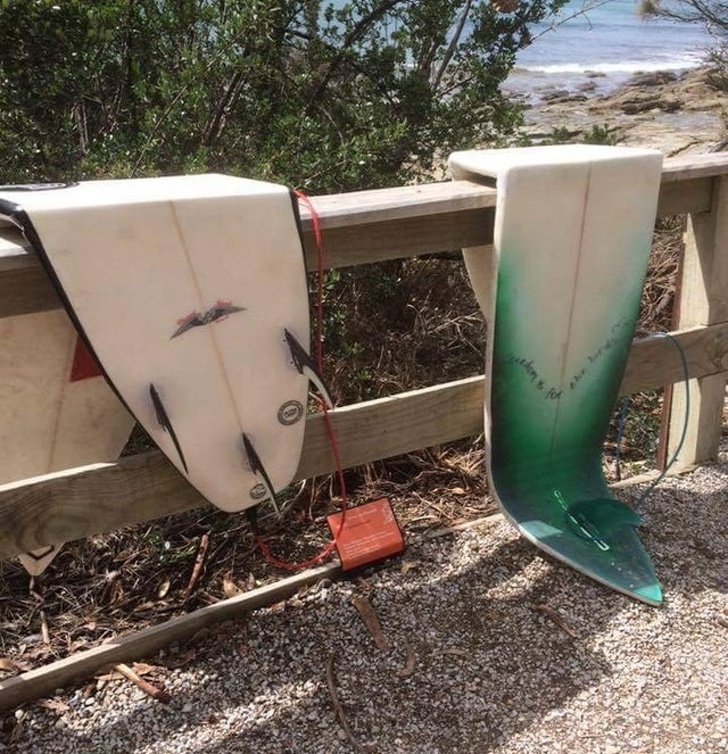 Illustration de l'article : Ces 21 photos qui montrent que l'été peut parfois être difficile à vivre