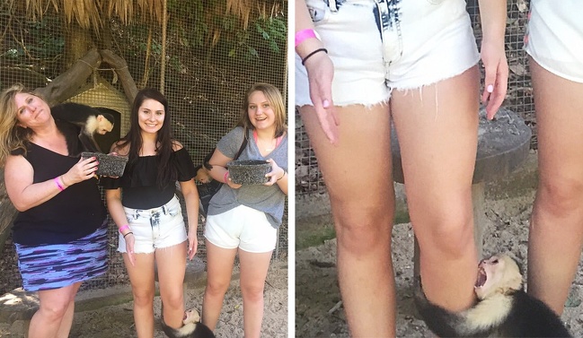 Illustration de l'article : Ces 25 actes ont eu des conséquences parfois dramatiques