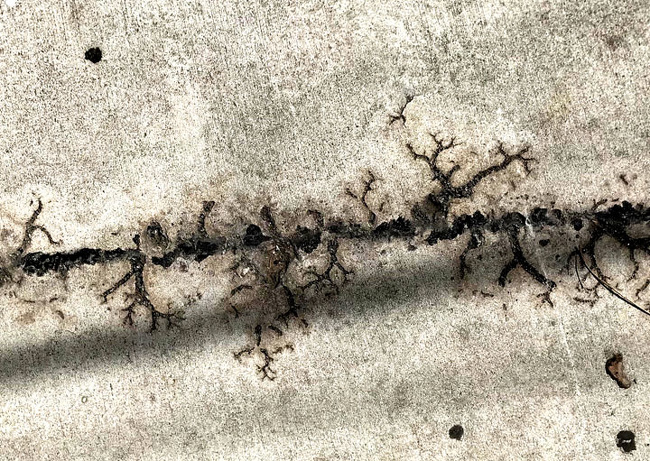 Illustration de l'article : Ces 24 curiosités prises en photos à travers le monde