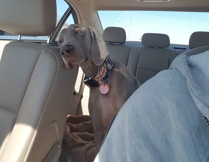 Illustration de l'article : Ces 14 photos qui rendent de bonne humeur