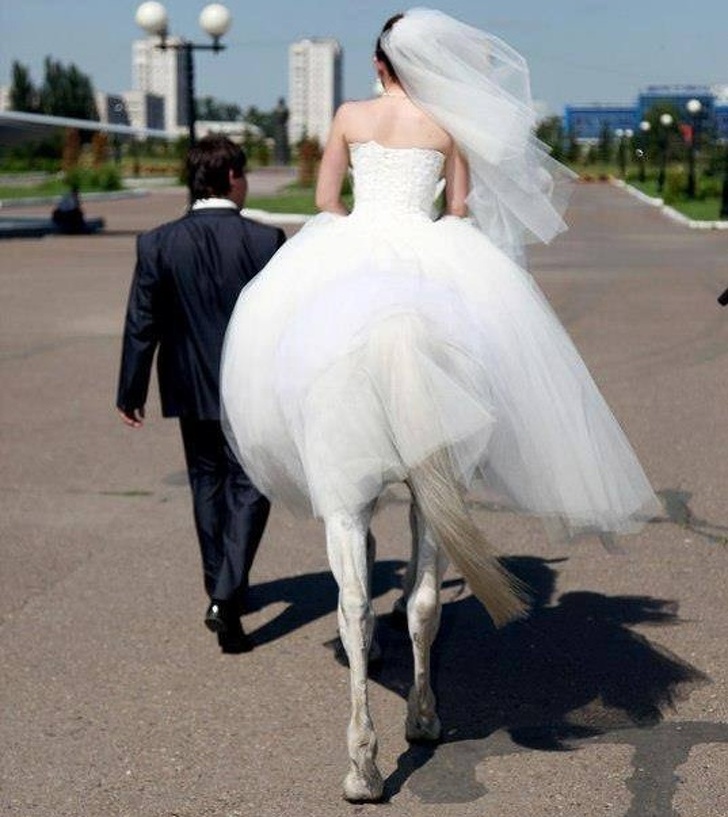 Illustration de l'article : Ces 19 photos qui font buguer le cerveau et réfléchir