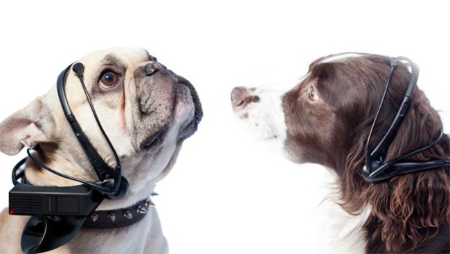 Illustration de l'article : 7 incroyables inventions qui montrent que nous avons rattrap&eacute; le futur 