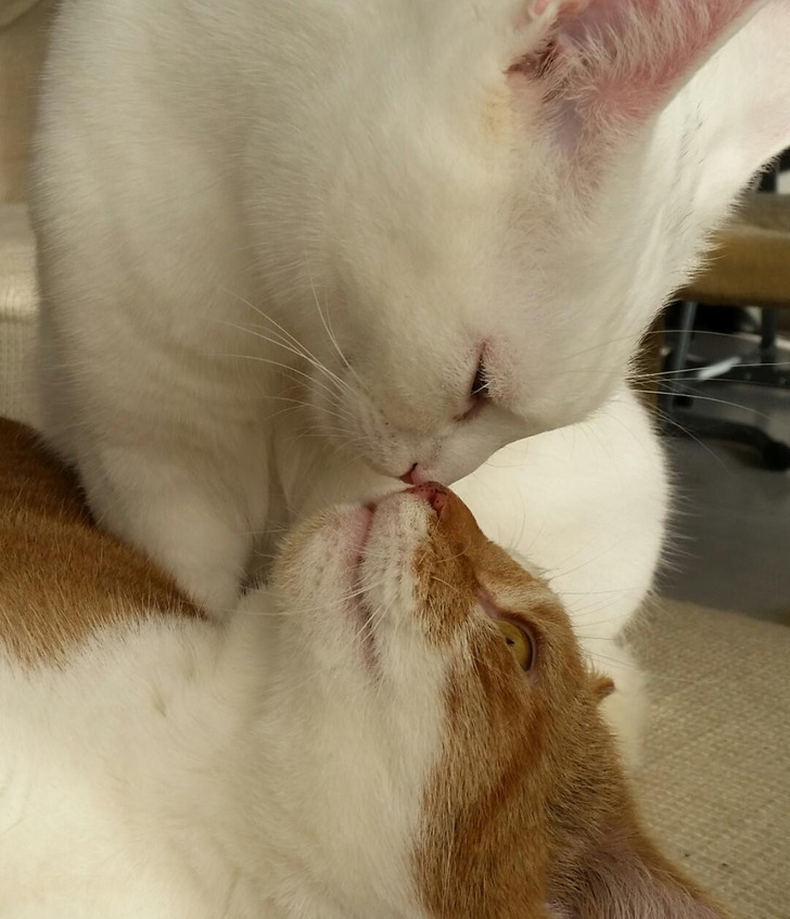 Illustration de l'article : Ces 17 photos prises au bon moment au bon endroit