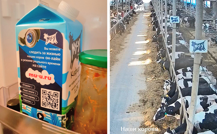 Illustration de l'article : Ces 14 publicit&eacute;s bien pens&eacute;es pour donner envie de s'int&eacute;resser au produit