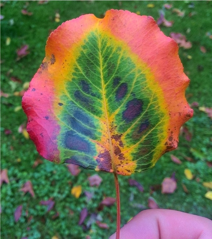 Illustration de l'article : Ces 24 photos de surprises rencontrées par des internautes