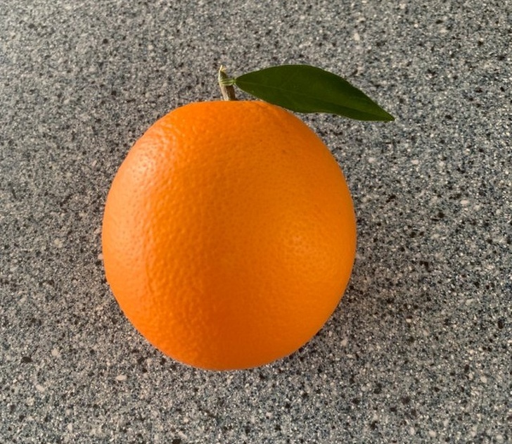 Illustration de l'article : Ces 21 photos de choses qui existent réellement