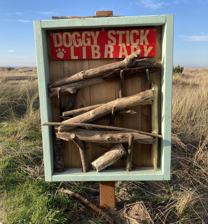 Illustration de l'article : Ces 20 photos qui illustrent des découvertes inattendues