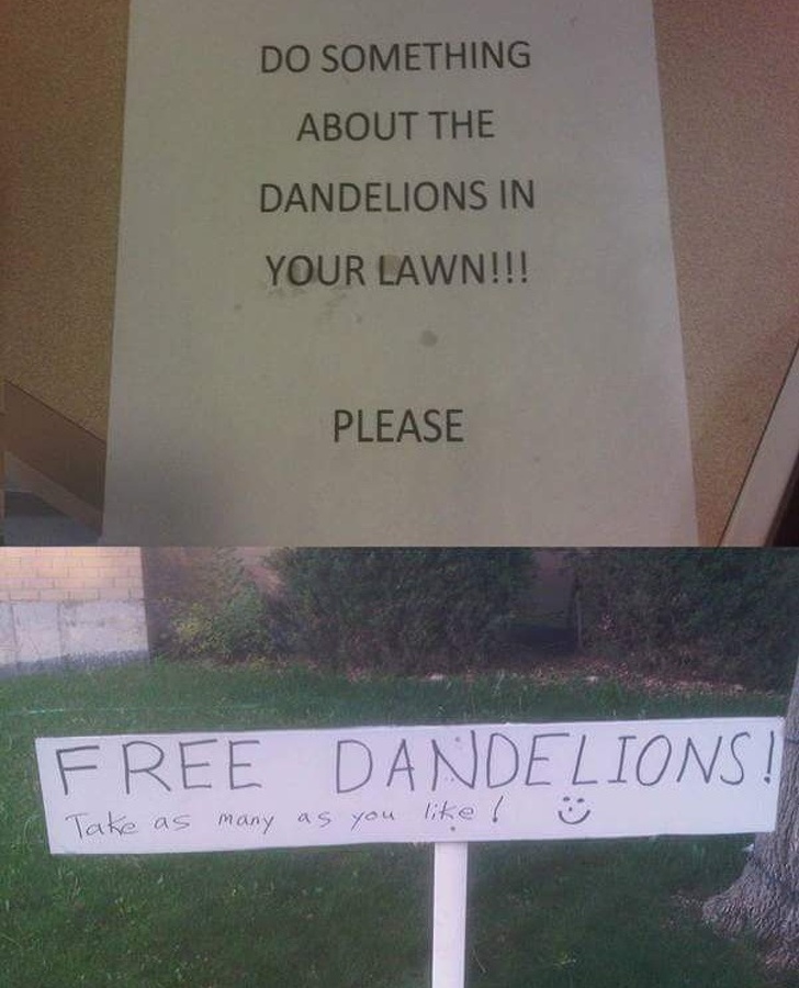 Illustration de l'article : Ces 17 photos de voisins pas vraiment fréquentables