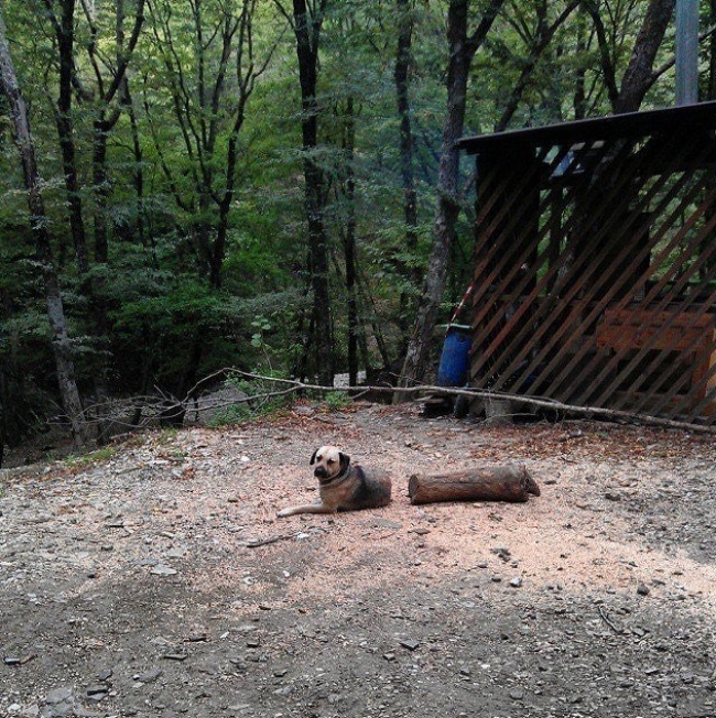 Illustration de l'article : 23 photos qui vont vous prouver que notre monde est parfois étrange