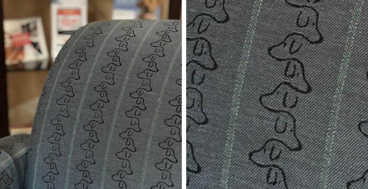 Illustration de l'article : Ces 23 curiosités qui montrent qu'il faut être attentif autour de soi