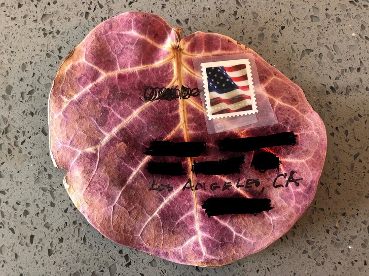 Illustration de l'article : Ces 19 grands-parents qui ont plus d'un tour dans leur sac