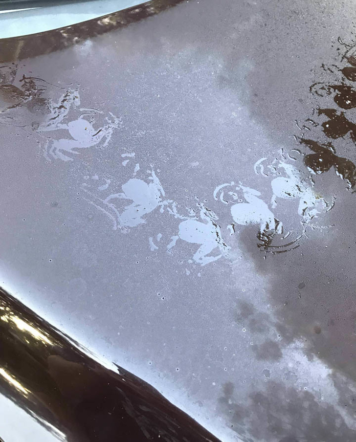 Illustration de l'article : Ces 20 phénomènes et situations liés au hasard de la vie