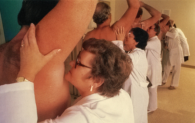 Illustration de l'article : 14 métiers insolites qui pourraient vous tenter