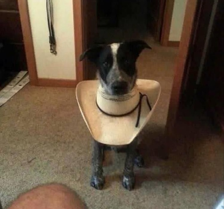 Illustration de l'article : Ces 18 personnes qui font preuve d'imagination au quotidien