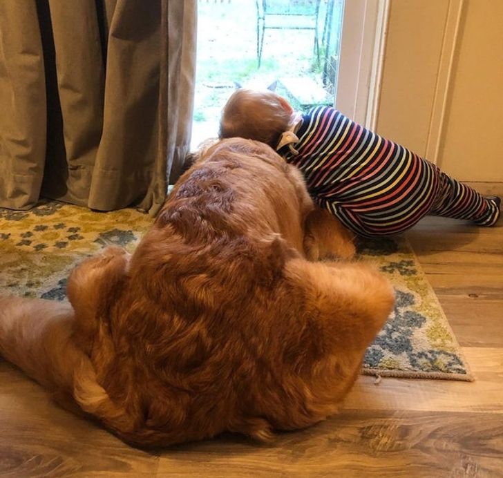 Illustration de l'article : Ces 16 photos qui illustrent de beaux souvenirs de la vie