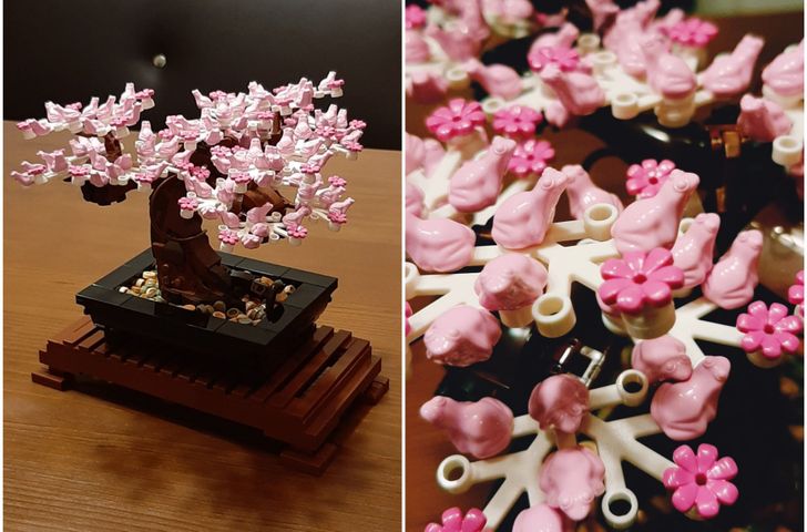 Illustration de l'article : Ces 18 personnes qui ont été récompensées par la chance