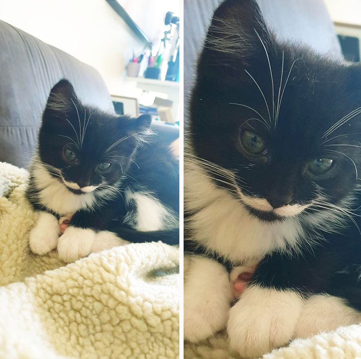 Illustration de l'article : Ces 17 photos qui montrent à quel point la nature est riche