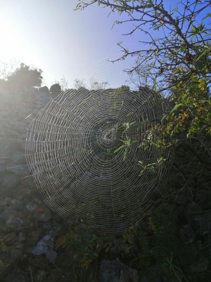 Illustration de l'article : Ces 18 personnes qui ont eu de la chance sans même qu'elles aient demandé quoi que ce soit