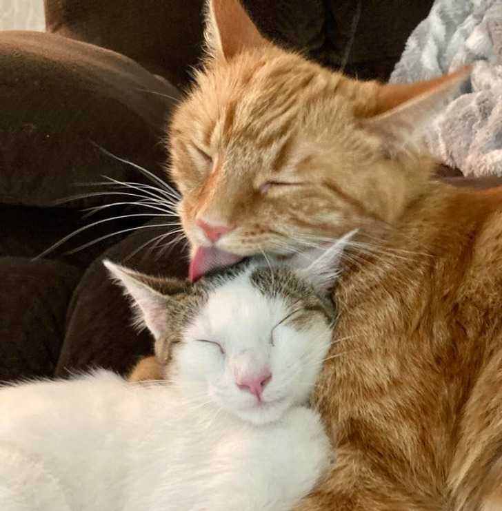 Illustration de l'article : Ces 15 photos qui illustrent des petits moments magiques de la vie