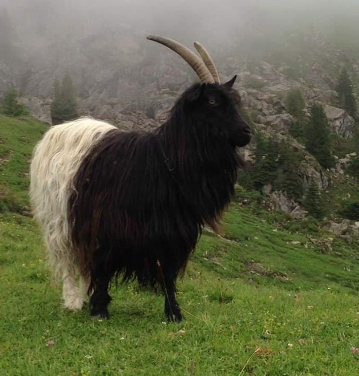 Illustration de l'article : Ces 15 fois où la nature a joué avec les couleurs