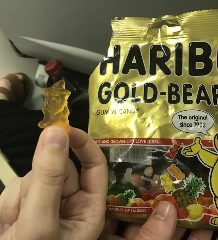 Illustration de l'article : Ces 18 photos de situations où la chance était au rendez-vous