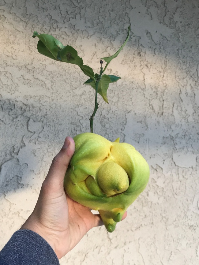 Illustration de l'article : 28 moments qui sortent de l'ordinaire capturés dans la vie quotidienne