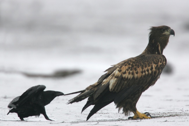 Illustration de l'article : 30 photographies non retouch&eacute;es prises quelques secondes avant une chute in&eacute;vitable