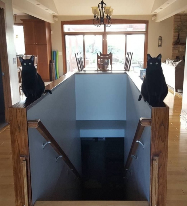 Illustration de l'article : 25 photos qui tromperont même les esprits les plus perspicaces