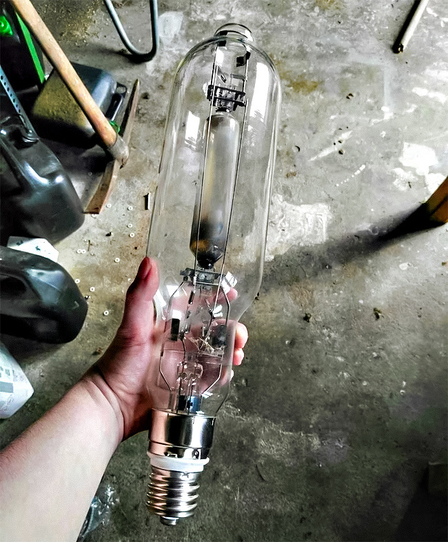 Illustration de l'article : Ces 23 situations insolites découvertes par hasard